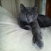 Timothy Brochu - Facebook