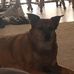 Tim Brock - Facebook
