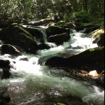 Tim Broughton - @tbrou6229 - Instagram