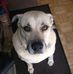 Tim Broughton - Facebook