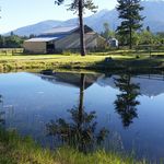 Tim Brownlee - @bigsky15 - Instagram