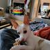 Tim Bruno - Facebook