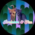 Brunson & Tim - @brunsonandtim - Instagram