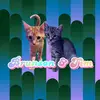 Brunson & Tim - @brunsonandtim - TikTok