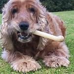 Tim Budd - @buddtim - Instagram