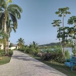 Tim Budd - @timbudd9 - Instagram