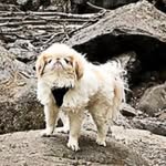 Tim Budd - @timmybudjones123 - Instagram
