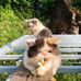 Tim Bui - Facebook
