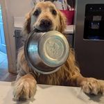 Tim Burnham - @guinnessnh - Instagram