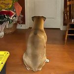 Tim Burnham - @burnhamtim - Instagram