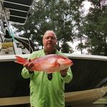 tim burris - @timpburris - Instagram