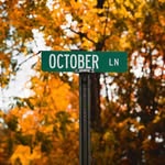 @_tim_busch_ - Instagram