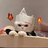 Tim Busch - @tim.busch2 - TikTok