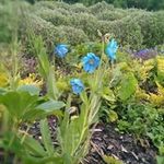 Tim Butterfield - @tim.butterfield.33 - Instagram
