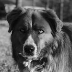 Tim Butterfield - @tim.butterfield.731 - Instagram