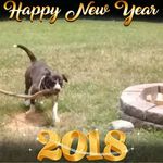 Tim Byrd - @tim.byrd.1848 - Instagram