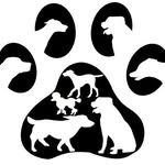Paws Dog Walking - @timcable - Instagram