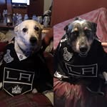 Tim Cable - @tim.cable.737 - Instagram