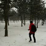 Tim Cai - @redcai - Instagram