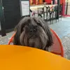 Tim 🐾 - @callmetimmyturner___ - TikTok
