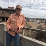 Tim Cameron - @timcameron1 - Instagram