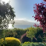 Tim Cameron - @fvkpma - Instagram