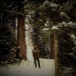 Tim Carlyle - @tim_carlyle - Instagram