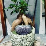 Tim Carmichael - @timcarmichael19 - Instagram