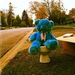 Tim Carmichael - @kor.alliance - Instagram