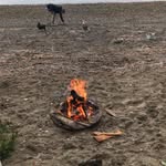 Tim Carrigan - @t.e.carrigan - Instagram