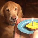 Tim Carroll - @timcarroll22 - Instagram