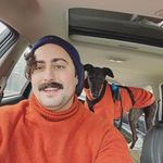 Tim Carroll - @timmcarroll - Instagram