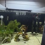Tim Carter - Facebook