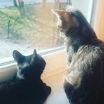 Tim & Casper - @tim_osredkar - Instagram