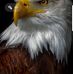 Tim Chadwell - Facebook