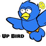 Tim Chisholm - @windupburd - Instagram
