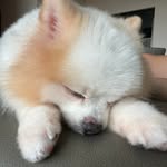 Timothy Chow - @timchow1127 - Instagram