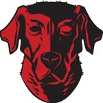 Tim Clark - @reddogoutfitters - Instagram
