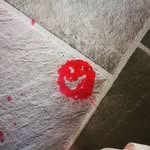 Tim Clement - @timclement3244 - Instagram