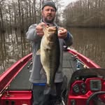 Tim Clemons - @timwclemons - Instagram