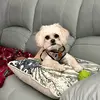 TIM Clifford - @tim.clifford66 - TikTok