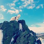 Tim Coates - @xnn_adventures - Instagram
