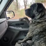 William W. MacMillan III - @timc.ollum - Instagram