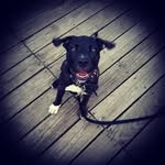 Tim Colson - @colsontim - Instagram
