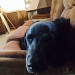Tim Combs - @combstim57 - Instagram
