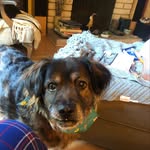 Tim Conboy - @tim.conboy - Instagram