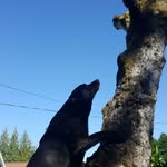 Tim Conlon - @timconlon1960 - Instagram