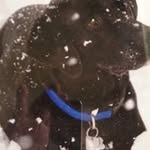 Tim Conlon - @tim.conlon.54 - Instagram