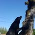 Tim Conlon - Facebook