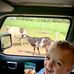 Tim Connell - Facebook
